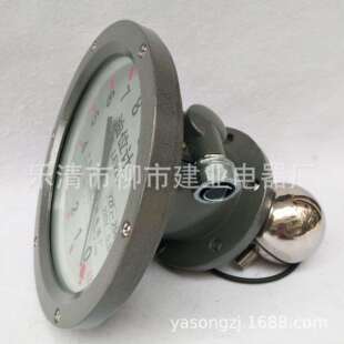 YZF2-140TH YZF2-175TH YZF2-200TH变压器油枕指针油位计