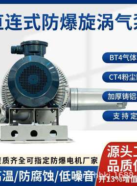 双段式防爆漩涡气泵 FBZ-52S-1/3KW抽气体BT4直连式高压鼓风机