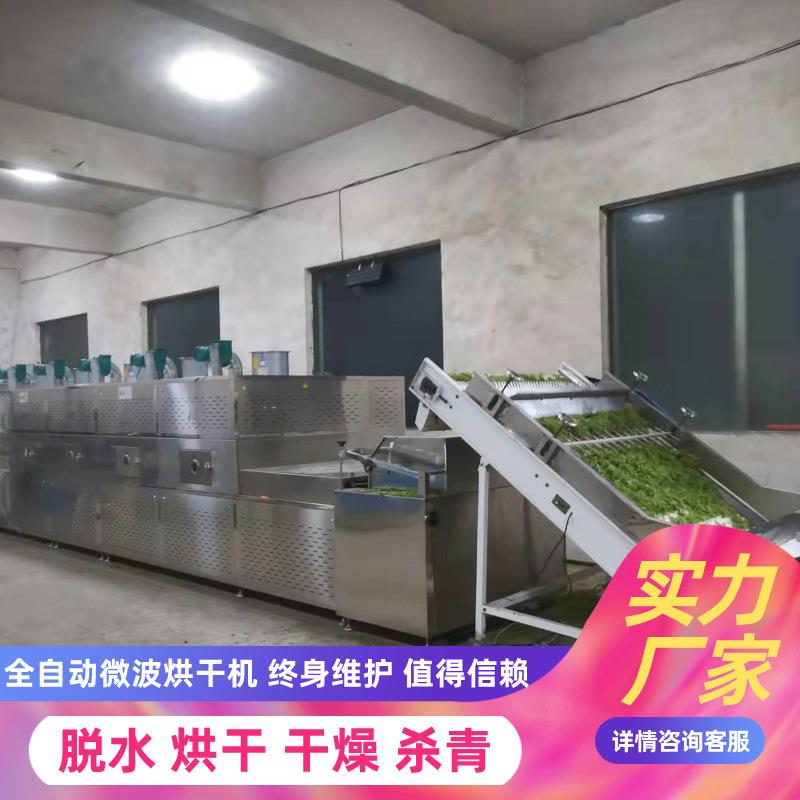 芦笋烘干机 笋芽杀青加工生产设备 山楂干 竹笋脱水干燥设备