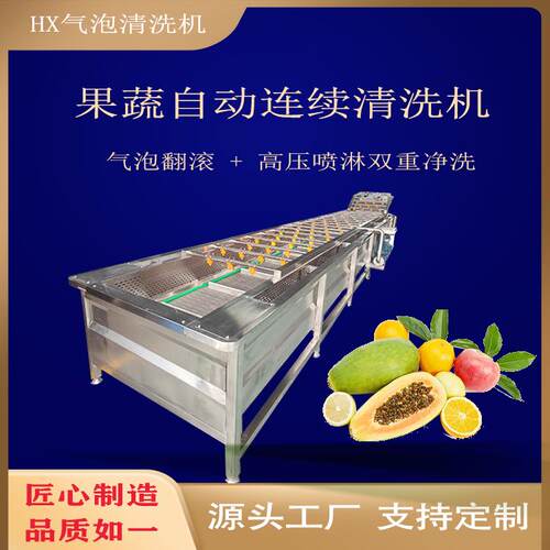 气泡瓜果蔬菜清洗线全自动翻浪式气泡清洗机净菜清洗加工设备流水