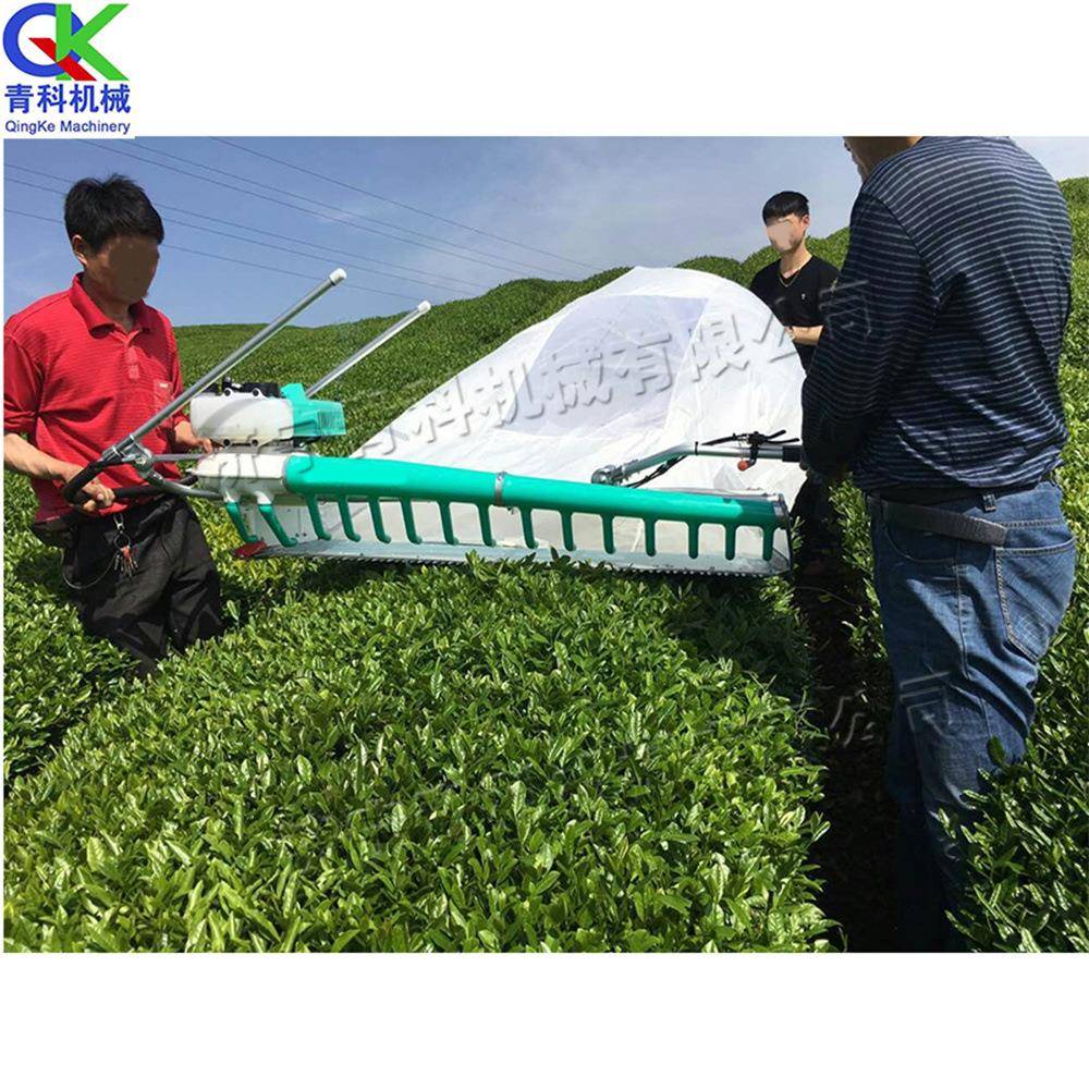 手持式双人采茶机小型茶园采摘收获机便携式汽油单人采摘机