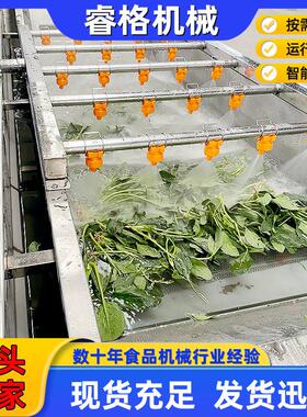 水果蔬菜清洗机  不锈钢全自动净菜加工设备 毛豆气泡清洗流水线