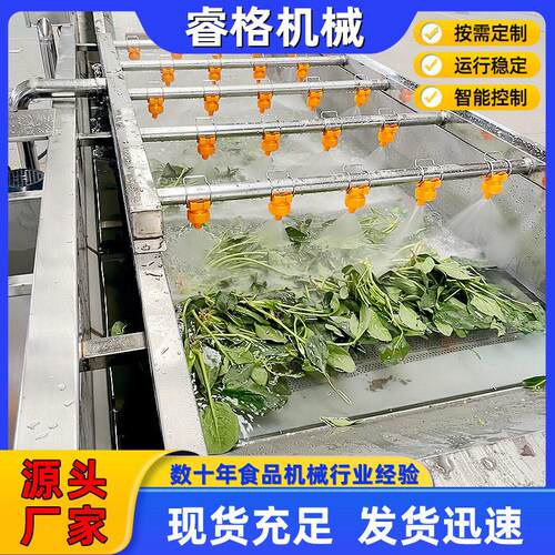 水果蔬菜清洗机  不锈钢全自动净菜加工设备 毛豆气泡清洗流水线