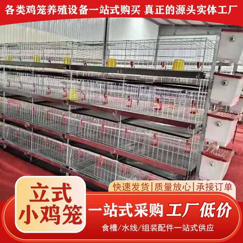 立式小鸡育雏笼养殖笼雏鸡笼加密鸡苗育雏笼鸡繁殖笼蛋4层小鸡笼