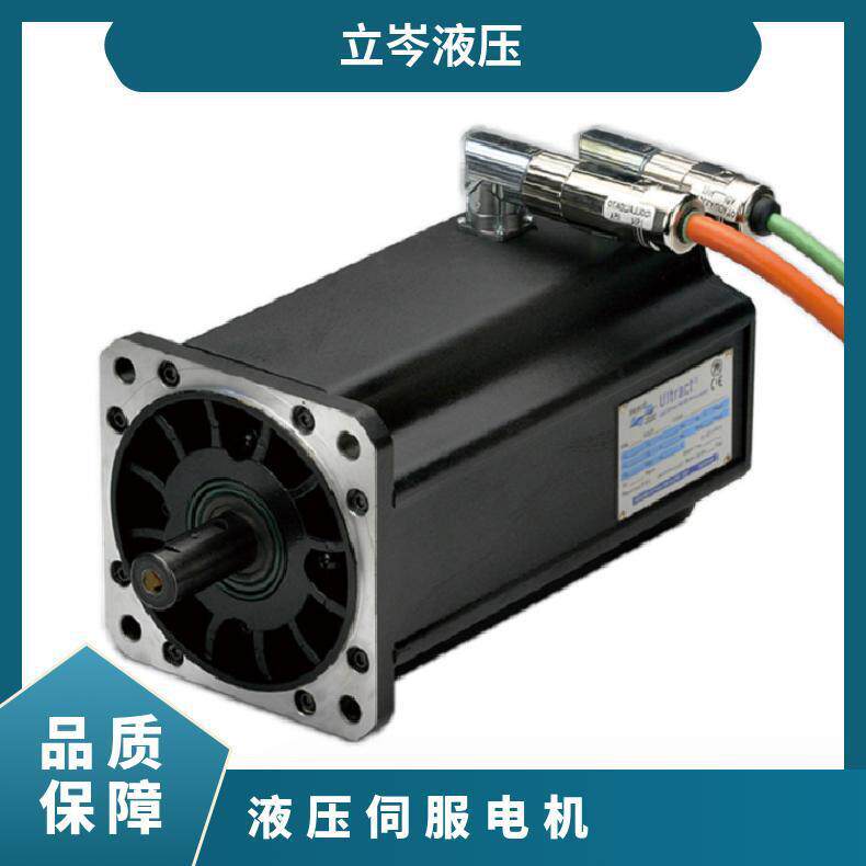 PHASE菲仕 U31005F15.3 液压伺服电机同步马达