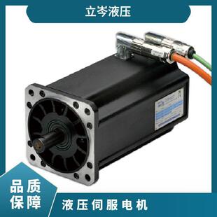 PHASE菲仕 液压伺服电机同步马达 U31005F15.3