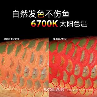 尼奥SOLAR雷龙鱼专用灯日光发色灯防水灯LED鱼缸灯金鱼增艳增色
