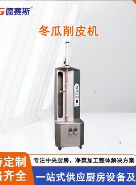 厂家供应厨房设备气动式瓜果削皮机土豆南瓜哈密瓜蔬菜水果削皮机