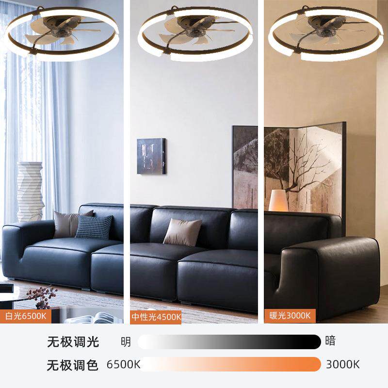 全铜电机2.4G智能灯控RGB卧室风扇灯led现代简约家用吸顶风扇灯