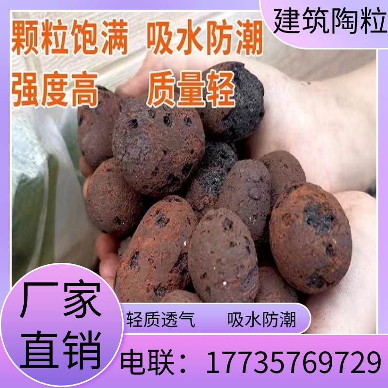 上海陶粒养花专用垫底种花盆回填化妆室铺面石水培多肉防烂根透气