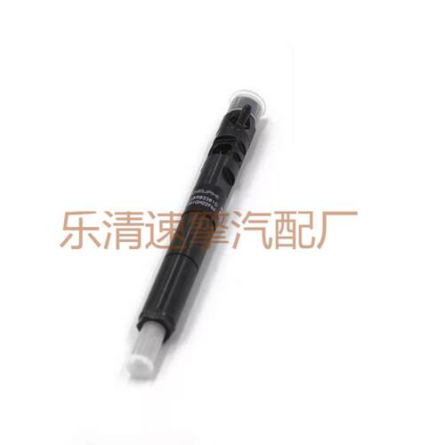 德尔福双龙 EMBR00301D A6710170121 高压喷油器总成