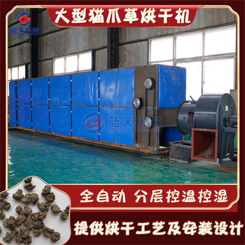 猫爪草网带烘干机连续式三散草小毛茛工业干燥机猫爪草烘干设备