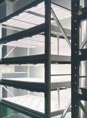 全光谱LED子植物生长灯方形大棚架NIG层蔬量菜板种植补光灯