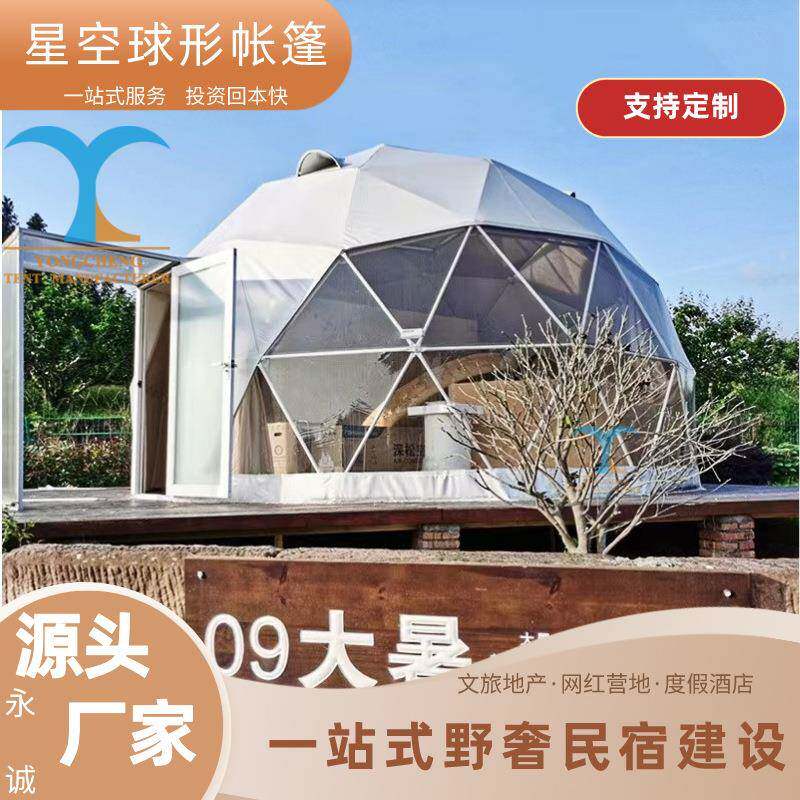 原厂家直供户外网红民宿营地泡泡屋双层豪华球形星空帐篷