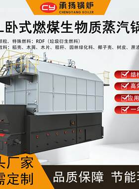 35吨燃煤生物质蒸汽锅炉燃用椰子壳秸秆机械制造电子化工纺织厂