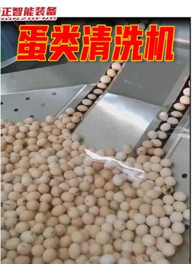 鸡蛋鸭蛋粪便泥灰清洗机蛋鸡养殖场用蛋清洗线大型自动化洗蛋机