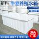 大号加厚牛筋塑料水箱长方形储水桶水产养殖方桶养鱼浅盆大容量