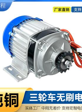 电动三轮车电机48v60v伏700w链条直流无刷人力车改装中置电机