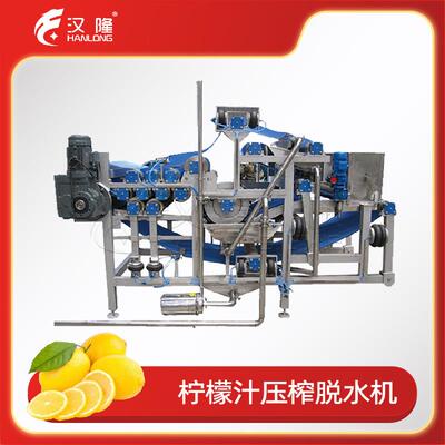 厂家DYJ系列柠檬汁压榨脱水机大型多功能工业榨汁机挤汁机