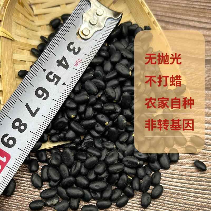 老品种山西肾型黄心小黑豆当季生豆芽打豆浆专用黄芯腰型药用黑豆