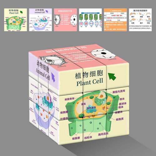 生物图初中知识新款拼图思维学生创意三阶玩具益智解压魔方礼物