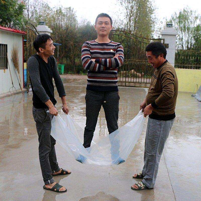 大棚膜加厚塑料薄塑料布透明防水防雨家用遮盖养殖防尘整卷