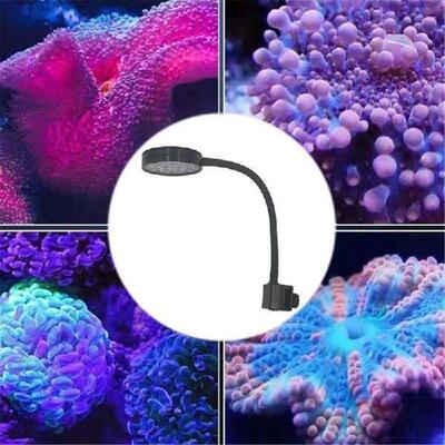 Adjustable Hose- Aquarium LED Light for Saltwater Fish