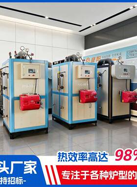 小型商用蒸汽发生器0.2T-2T燃油汽蒸汽锅炉杀菌釜配套热源设备