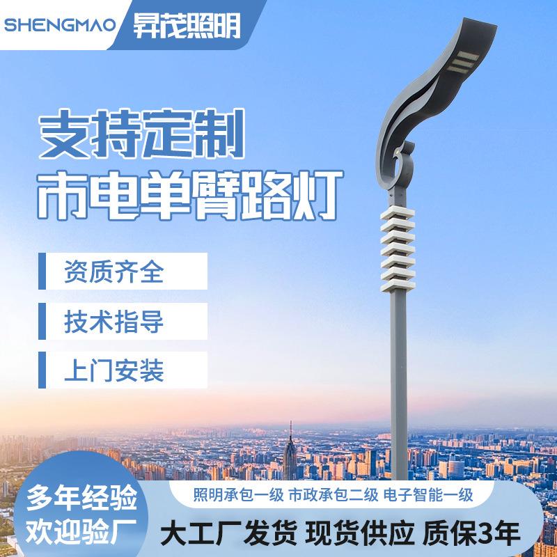 LED市电路灯厂家定制6米8米10米新农村道路建设单臂照明路灯杆