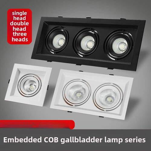 led斗胆灯格栅灯双头三头方形筒灯网格葡萄架铝方通嵌入式cob射灯