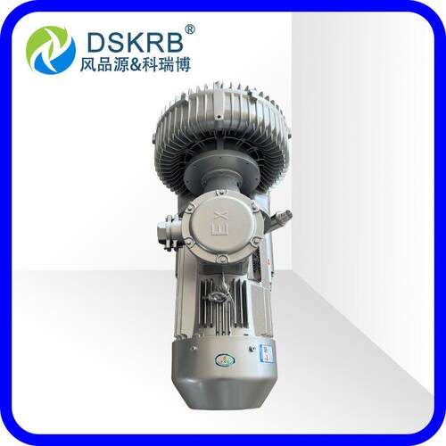 供应GHBH015362R811KW油气输送防爆高压鼓风机拓泵风机