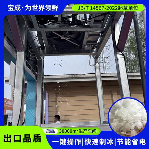 宝成制冰设备片冰机1吨2吨5吨10吨20吨片冰设备支持加工