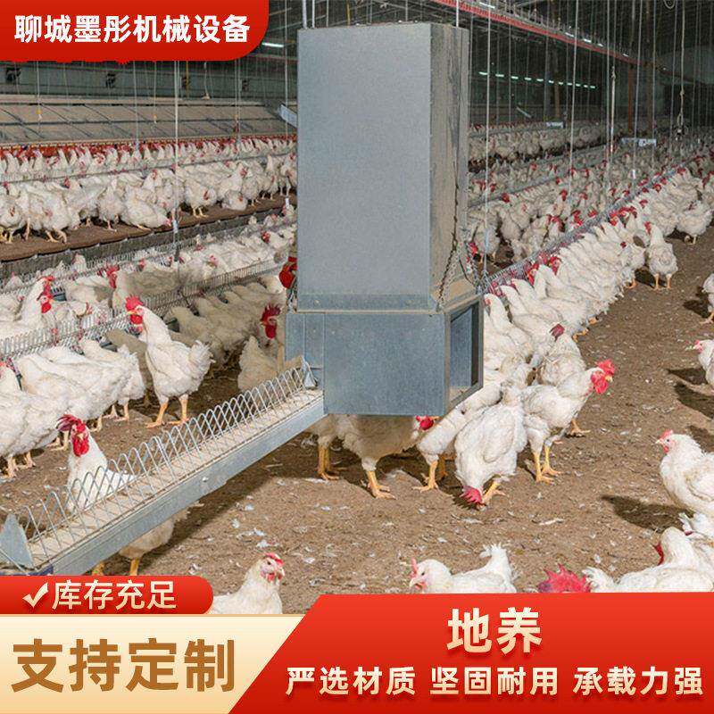 来图来样定制地养鸡笼子鸡舍自动料线鸡舍养鸡料线肉鸡养殖设备