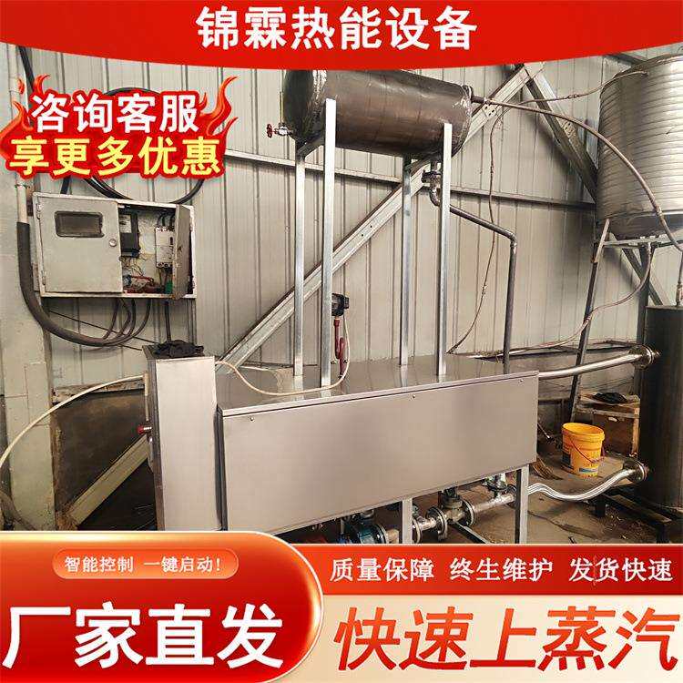 厂家直销工业加热水循环式模温机 电加热导热油锅炉