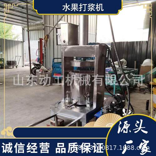 青菜压榨过滤机 商用液压压榨机 工业大型煮熟红枣山楂压滤机