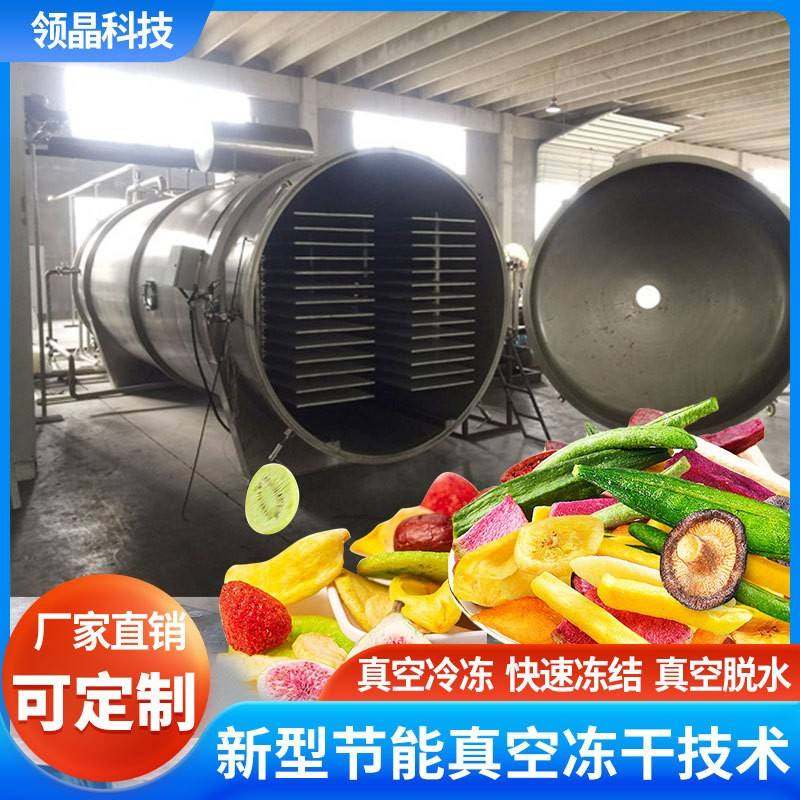 真空冷冻干燥机大型无花果片菇菌类保健品速溶饮品大尺寸商用