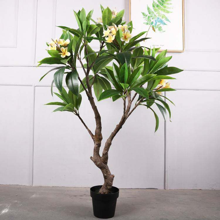 仿真鸡蛋花树大型庭院造景假树装饰民宿植物盆栽摆设摆件花树