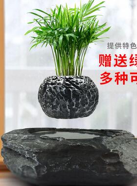 磁浮盆栽摆件 悬空花盆空中盆栽植物客厅办公室创意桌面装饰品