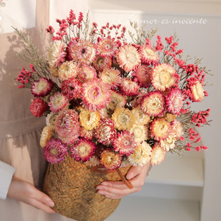 小雏菊干花天然风干真花花束客厅装饰麦秆餐桌面摆件品质好货