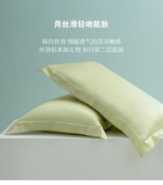 春夏凉爽高端冰丝枕头套家用一对装60支双面天丝枕套48x74cm