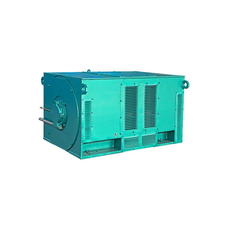 西安电机YX6302-6极2000W6V高压鼠笼型交流三相异步电动机