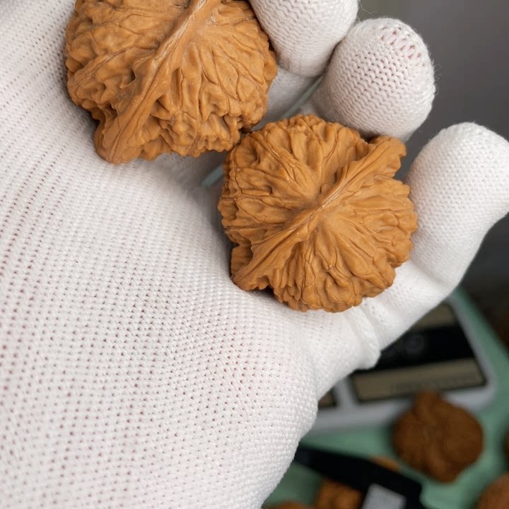 文玩回血正在直播15号老款狮子头38