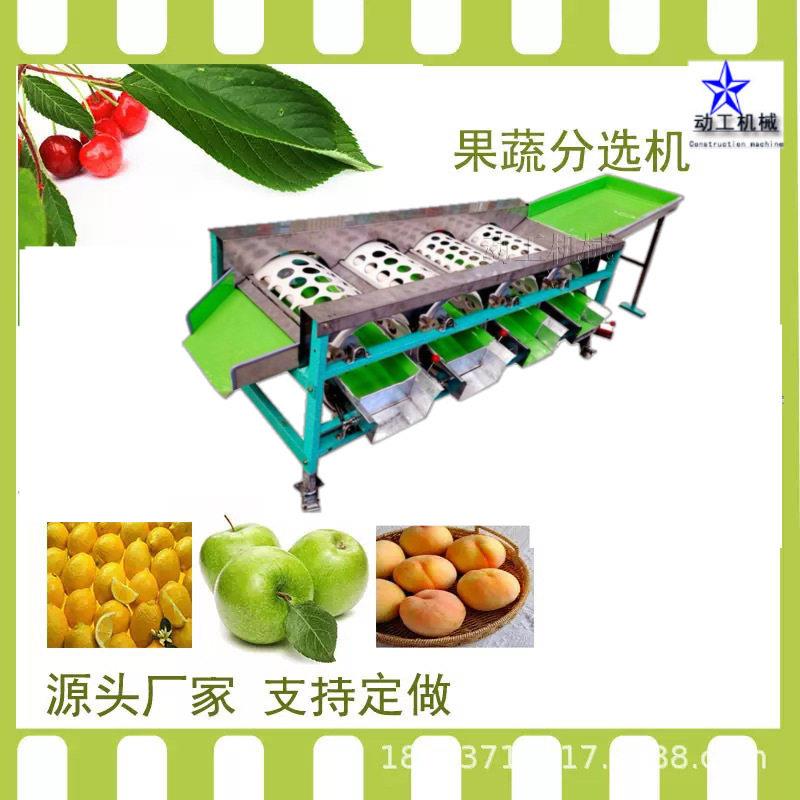 商用槟郎分选设备 大蒜蓝莓分级机 滚筒式车厘子分大小机
