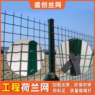 工程荷兰网加粗鸡鸭养殖铁丝网小孔围栏网防锈包塑隔离网加厚栅拦