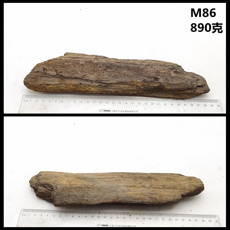 正品观石黑龙硅江木化冰河时期天然树化玉化木原石摆件赏石标本礼