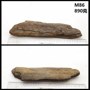 正品观石黑龙硅江木化冰河时期天然树化玉化木原石摆件赏石标本礼