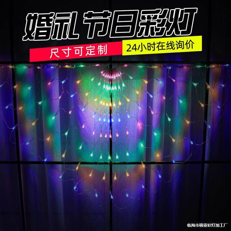 工厂直供LED灯串 孔雀灯网灯渔网灯圣诞灯装饰彩灯闪灯串灯