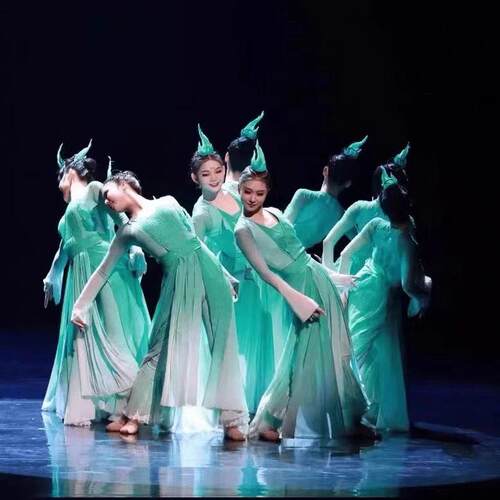 正品秋水股术份有限公司舞台蹈服装儿童装古典舞表演服集体舞中国