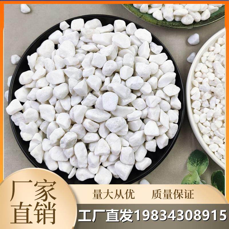 云南天然白石子鹅卵石雨花石铺路原石庭院造景盆栽装饰白色石头