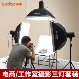 Godox 神牛E250摄影闪光灯SK400ii二代专业室内摄影棚灯250W证件照打光灯SK300W静物产品拍照400W补光灯